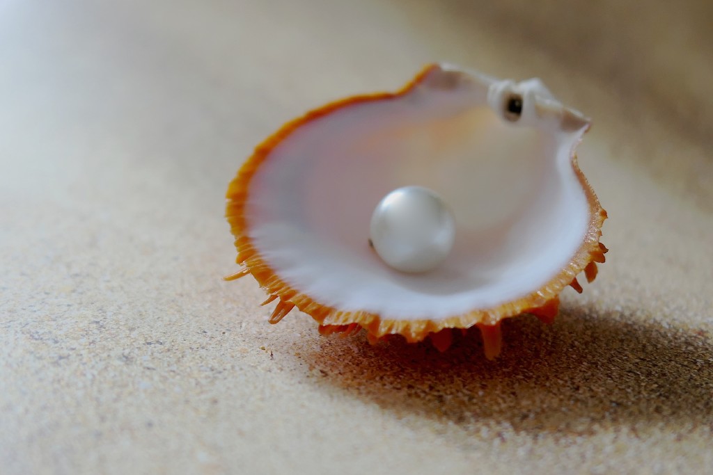Perle blanche dans une coquille – Symbole des noces de perle